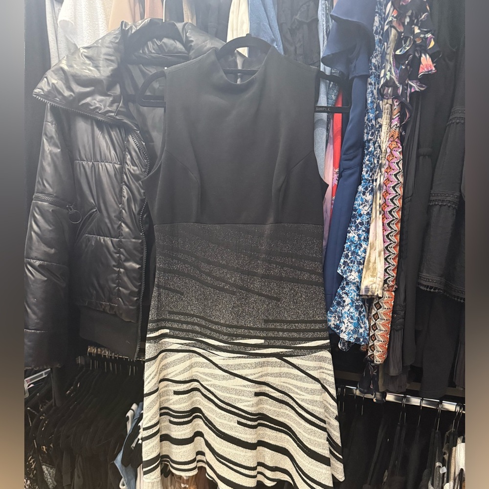Elegant Black and white and Gray Sleeveless A line Dress, worn one time